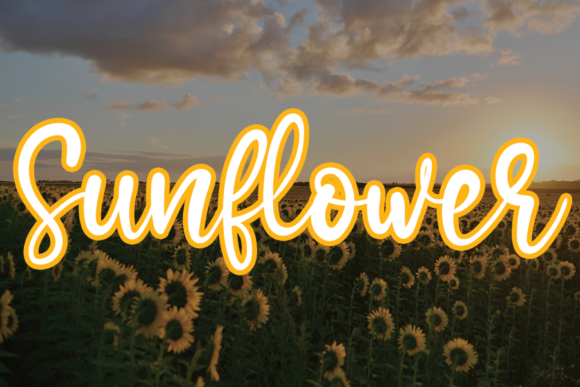 Sunflower: A Handwritten Font for Modern Branding