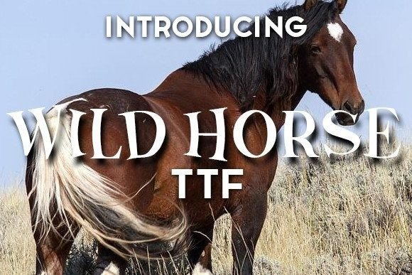 Wild Horse: A Creative Display Font for Bold Branding
